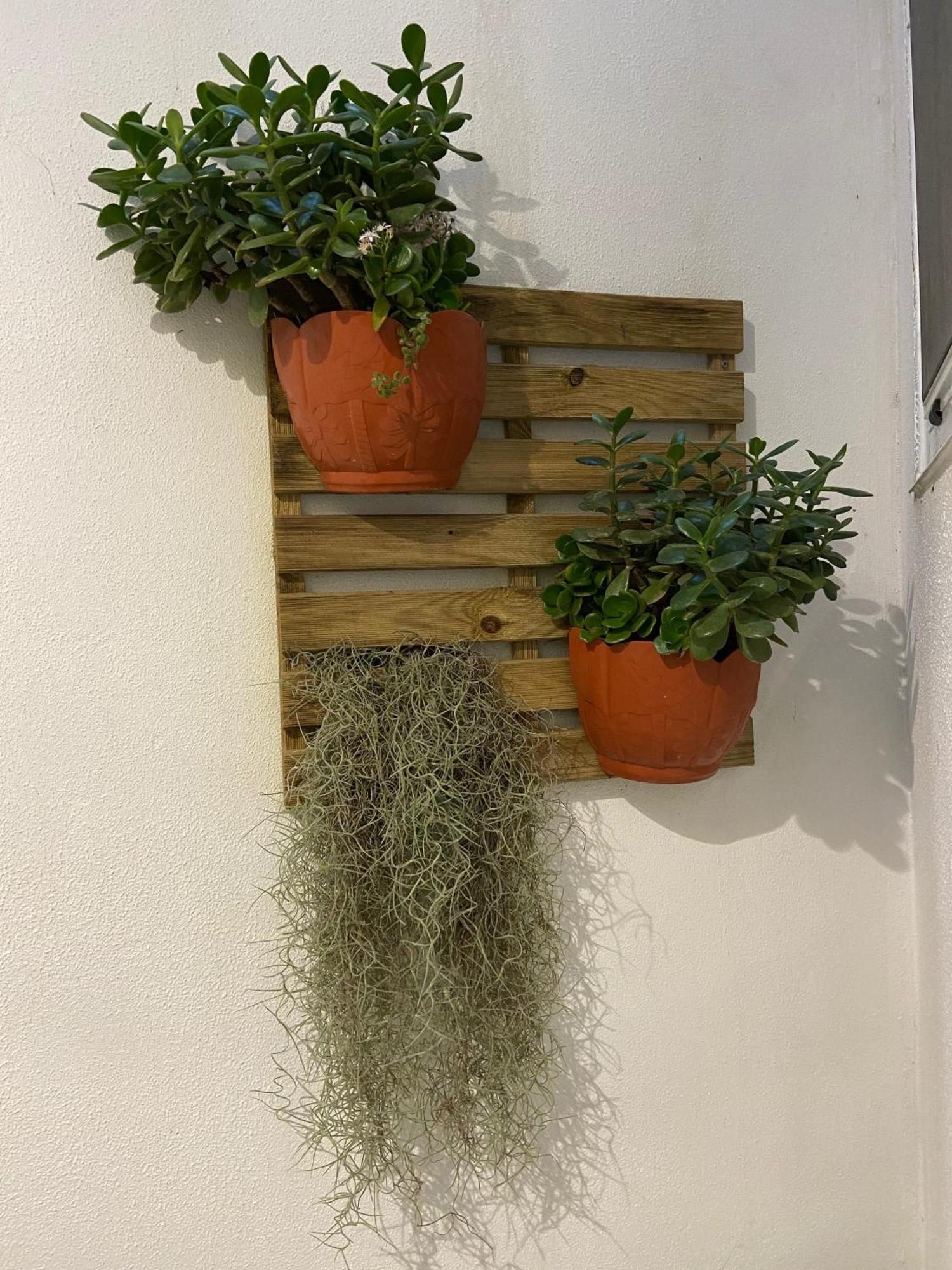 Urban 44 Guest House Ponta Delgada Zewnętrze zdjęcie